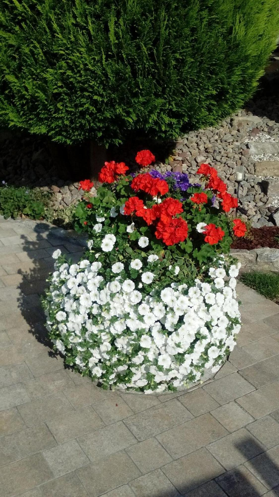 Ferienwohnung Seegarten Waldbuttelbrunn Dış mekan fotoğraf
